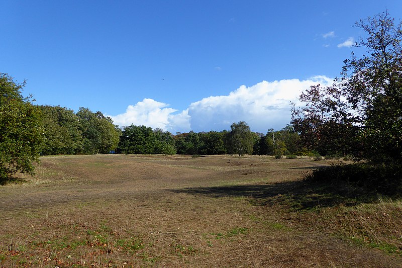 Barnes Common: Crafty Science (7-14 years)