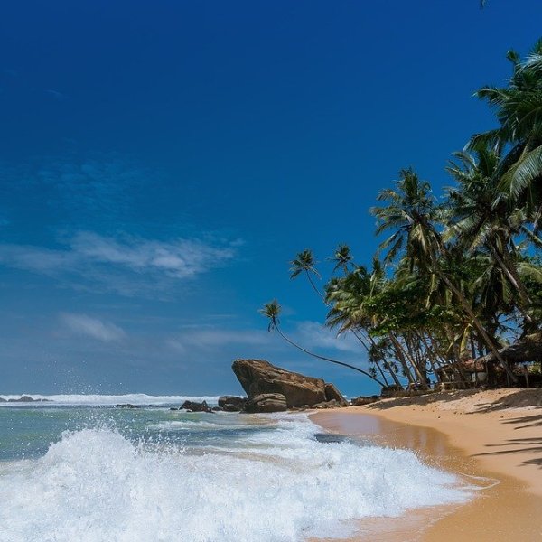 Lord of the Flies: Chapter 1 Close Analysis (“The Sound of the Shell”)