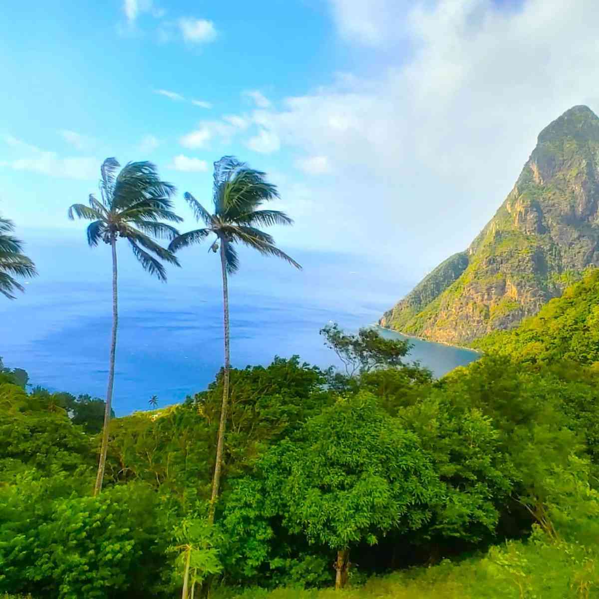 Historical Context for Lord of the Flies: Your Ultimate GCSE and A Level Guide