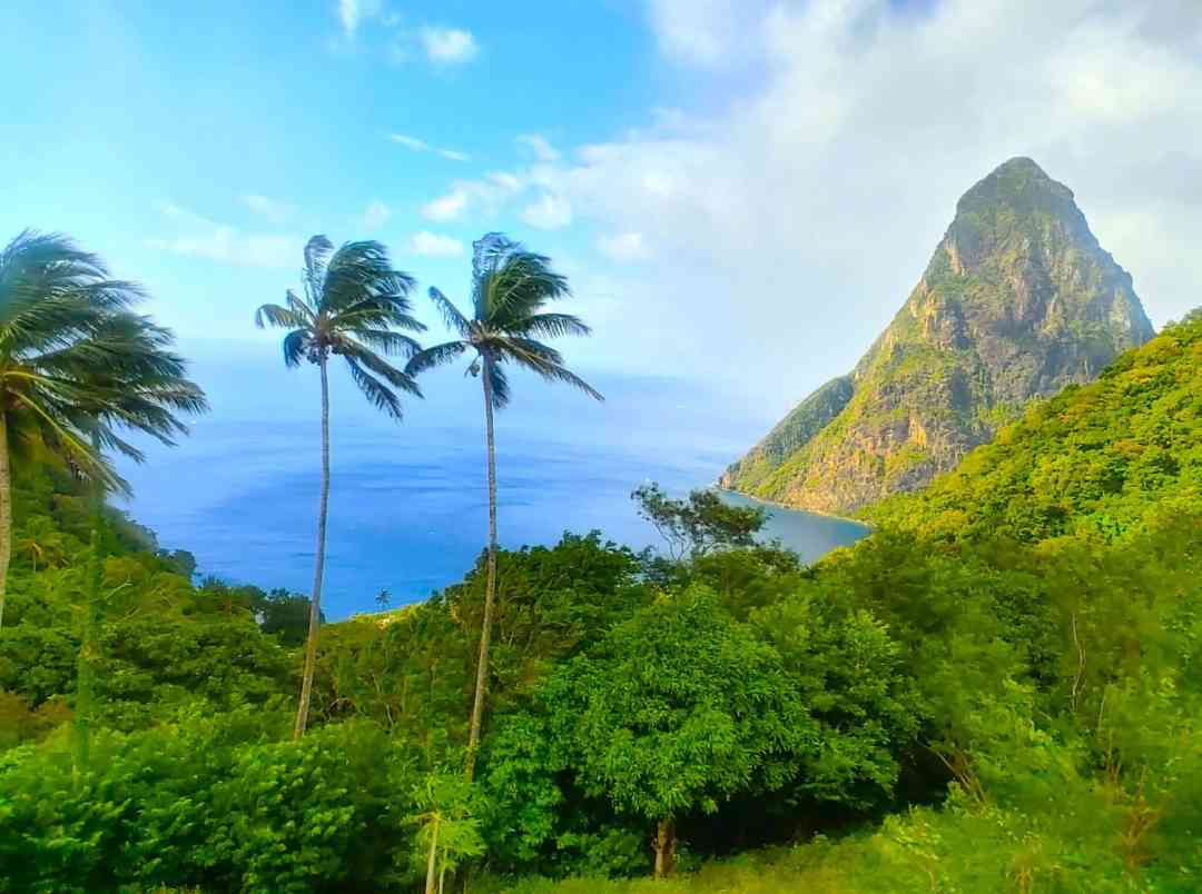 Lord of the Flies, Paradise Island, Palm Trees, Mountain, Beach